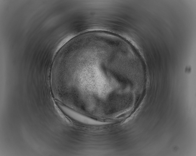 X0000090721137200708031455