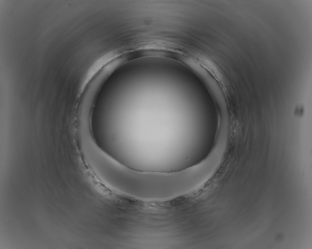 X0000090721138200708031455