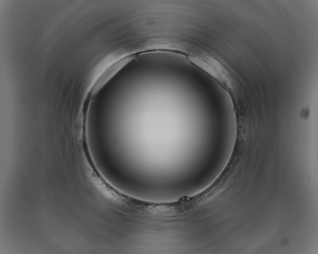 X0000090721140200708031455