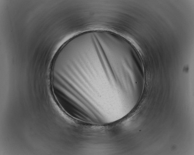 X0000090721142200708031455