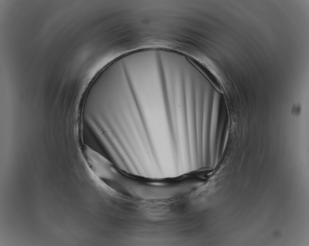 X0000090721143200708031455