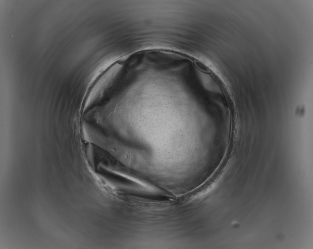 X0000090721145200708031455