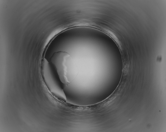 X0000090721146200708031455