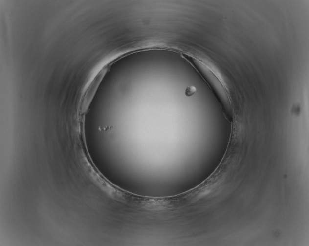 X0000090721148200708031455