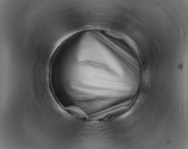 X0000090721149200708031455
