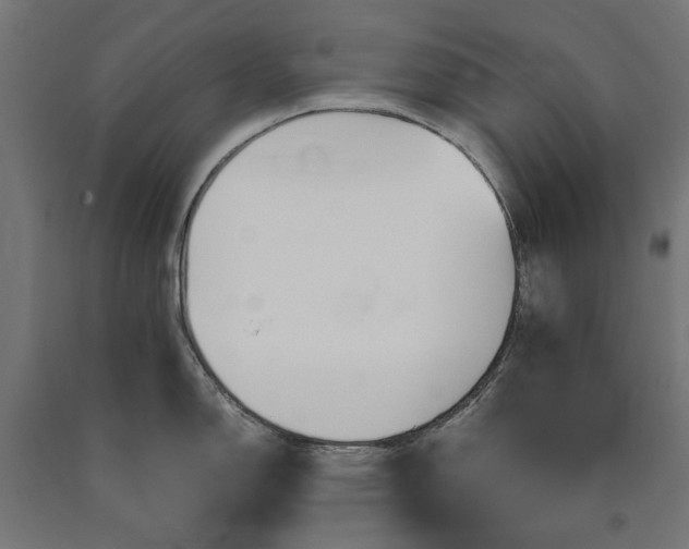 X0000090721150200708031455