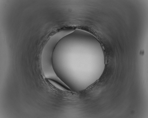 X0000090721153200708031454