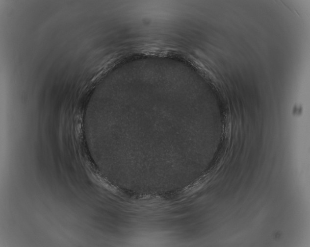 X0000090721154200708031454