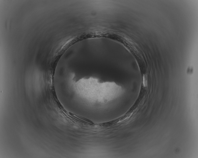 X0000090721155200708031454
