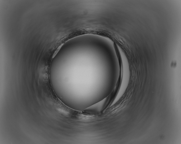 X0000090721156200708031454