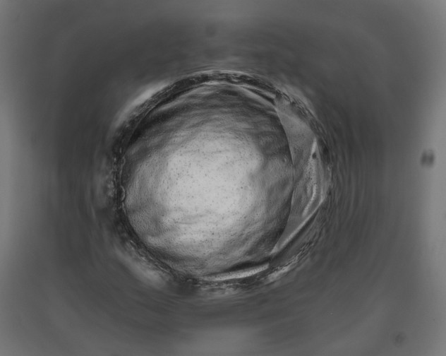 X0000090721159200708031454