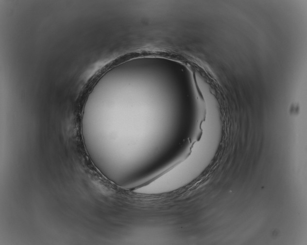 X0000090721160200708031454