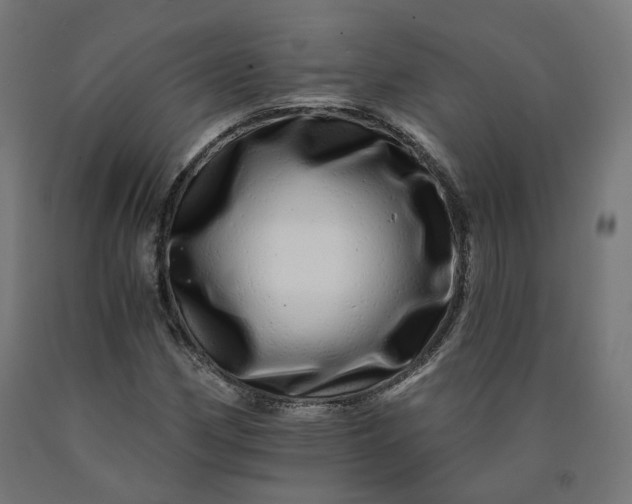 X0000090721162200708031454