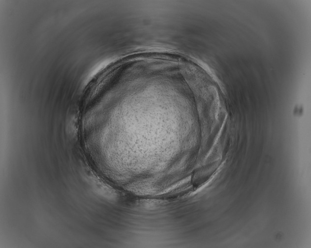 X0000090721163200708031454