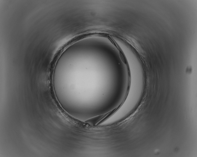 X0000090721164200708031454