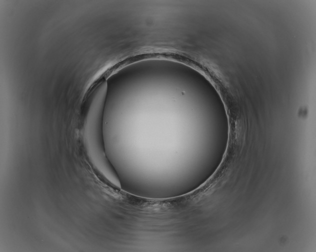X0000090721165200708031454