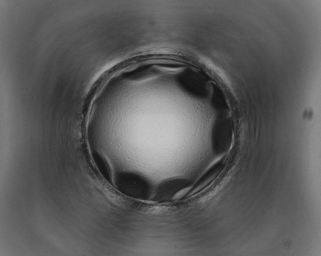 X0000090721166200708031454