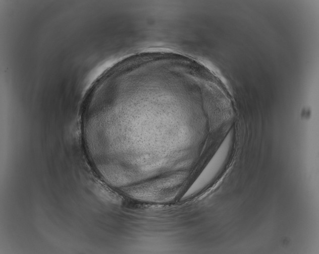 X0000090721167200708031454