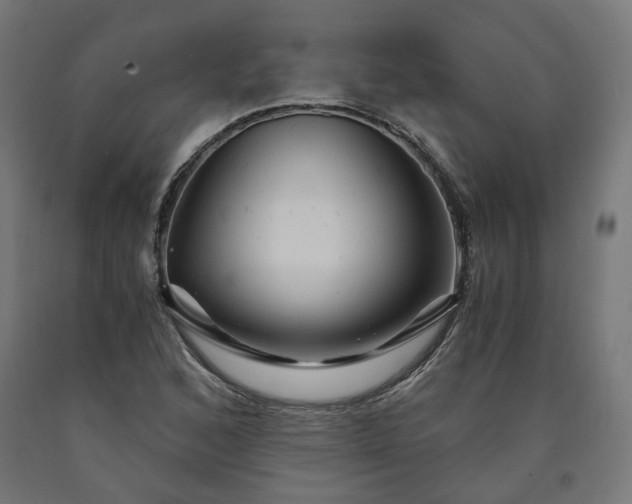 X0000090721168200708031454