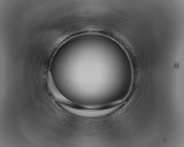 X0000090721169200708031454