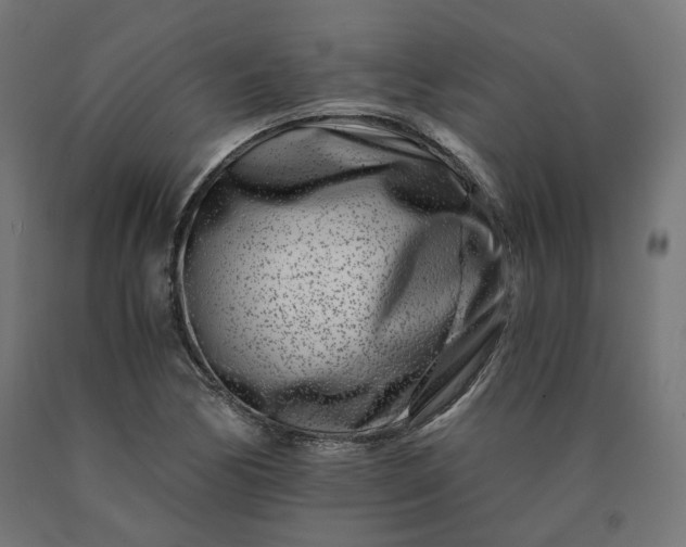 X0000090721170200708031454
