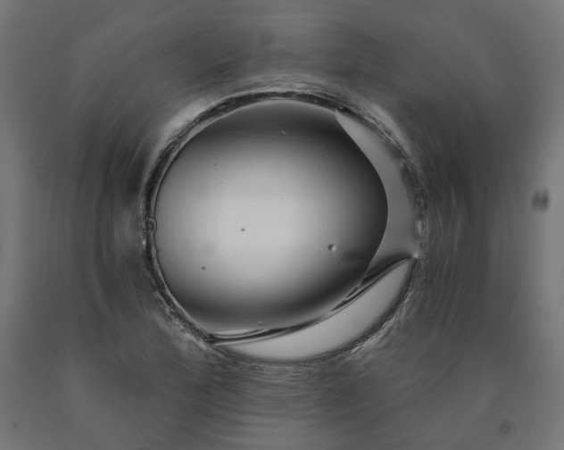 X0000090721172200708031454