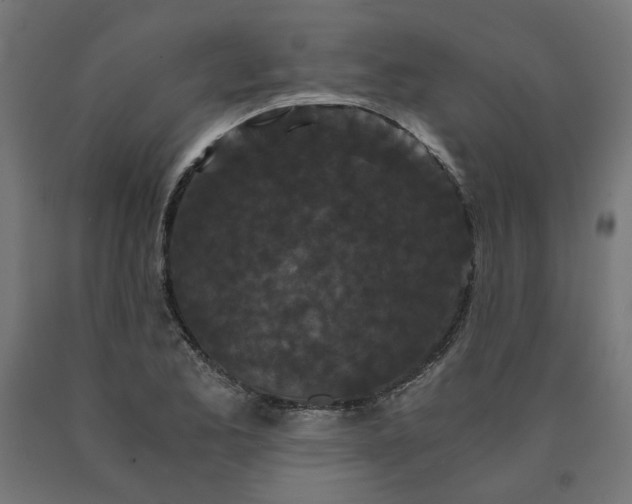 X0000090721173200708031454