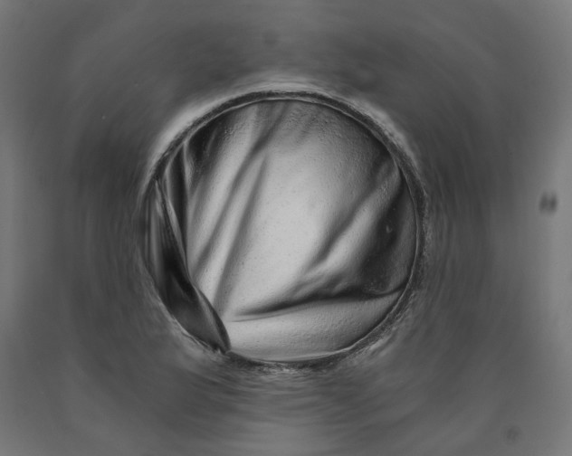 X0000090721175200708031454
