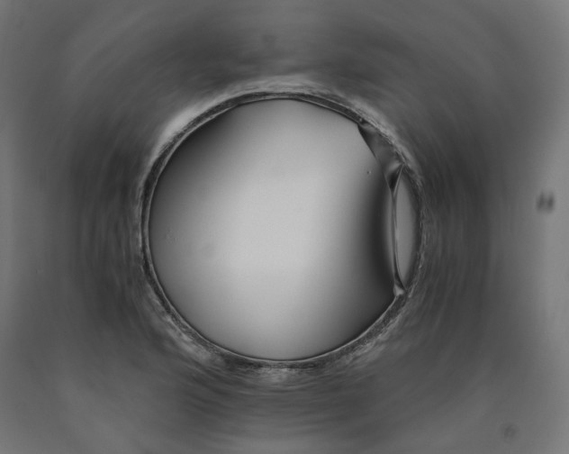 X0000090721176200708031454