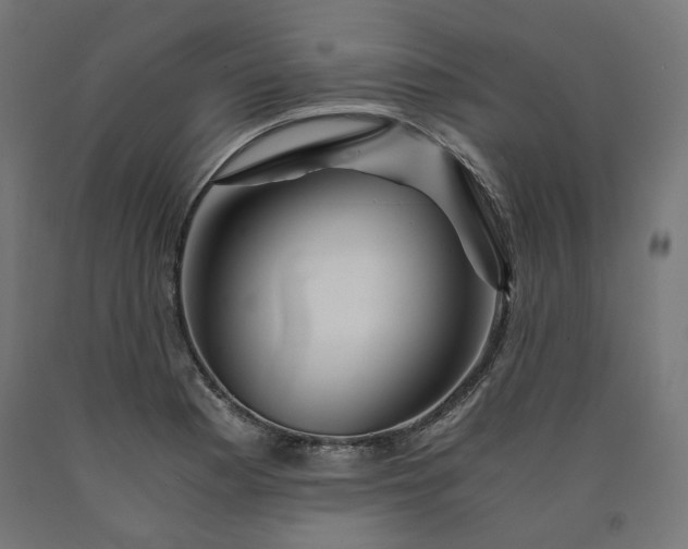 X0000090721177200708031454