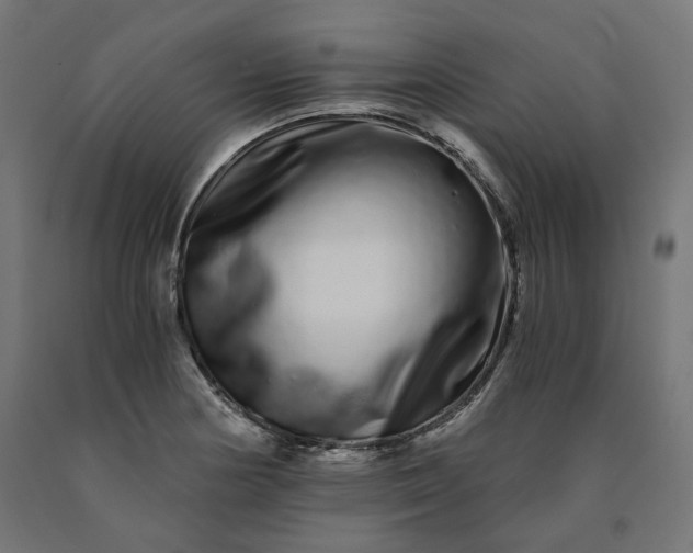 X0000090721178200708031454