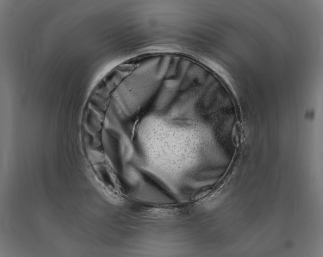 X0000090721179200708031454
