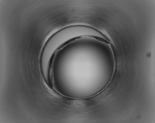 X0000090721181200708031454