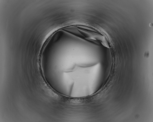 X0000090721182200708031454