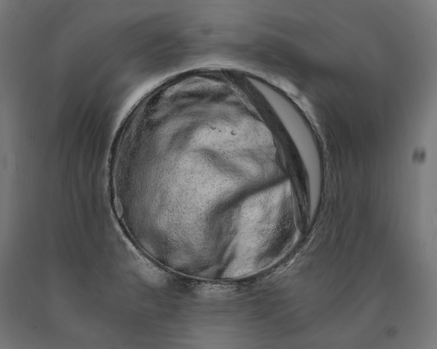 X0000090721183200708031454
