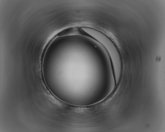 X0000090721184200708031454