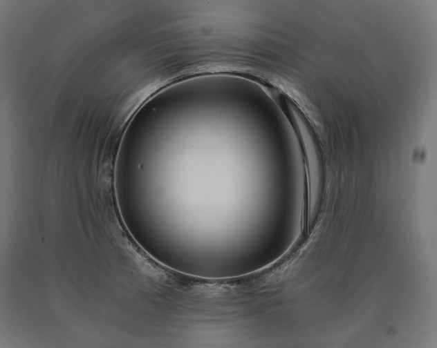 X0000090721185200708031454