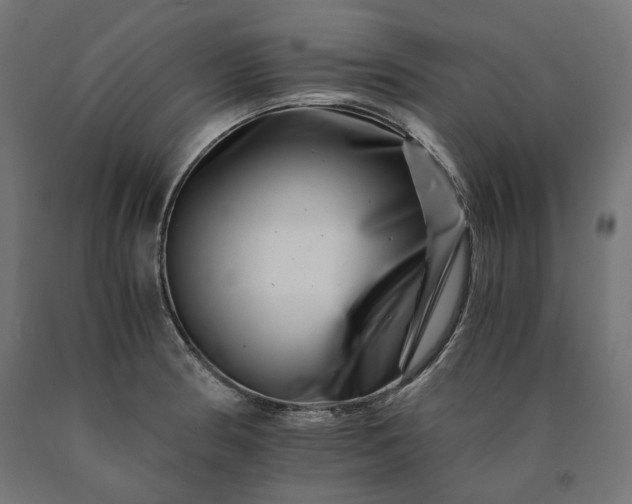 X0000090721186200708031454