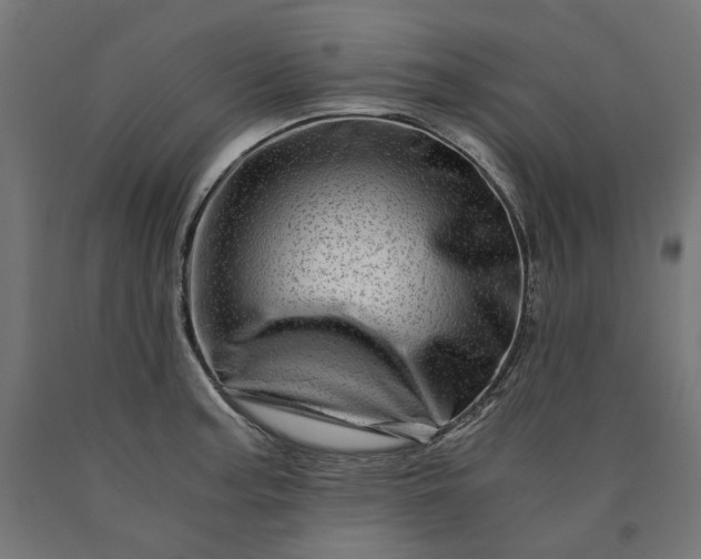 X0000090721187200708031454