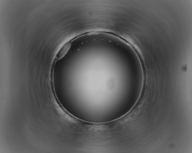 X0000090721189200708031454
