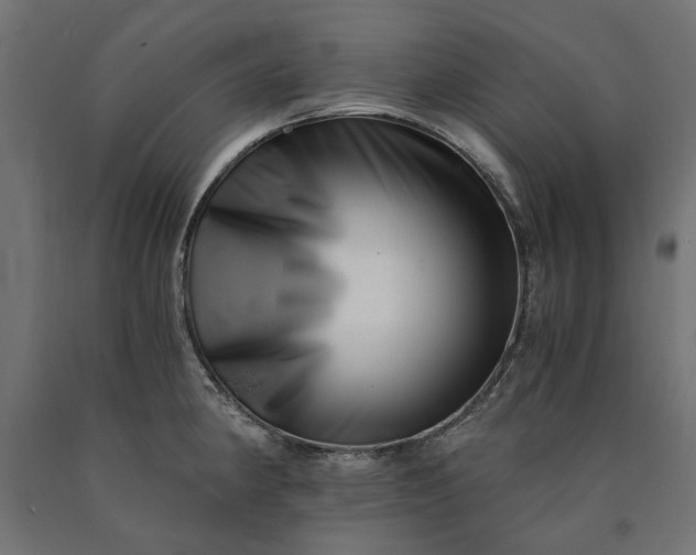 X0000090721190200708031454