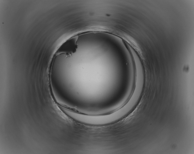 X0000090721192200708031454
