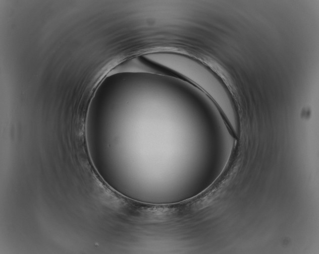 X0000090721193200708031454