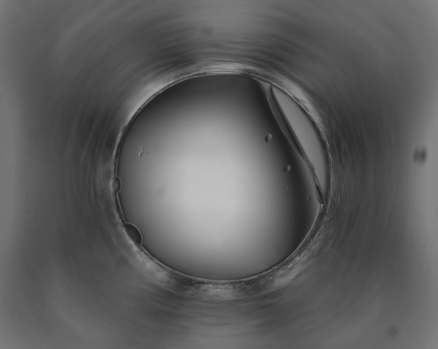 X0000090721194200708031454