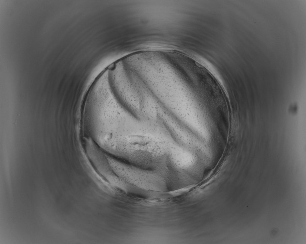 X0000090721195200708031454