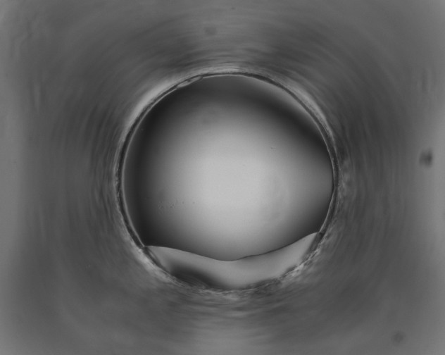 X0000090721197200708031454