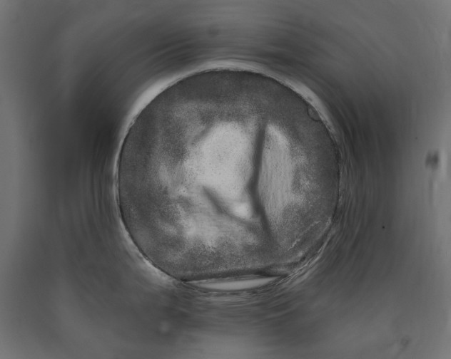 X0000090721199200708031453