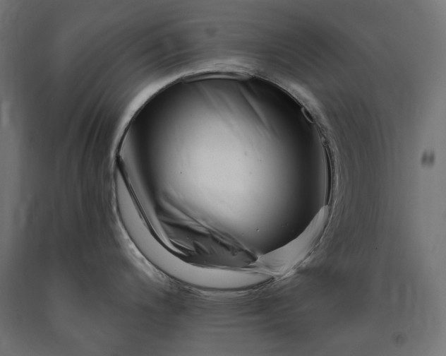 X0000090721200200708031453