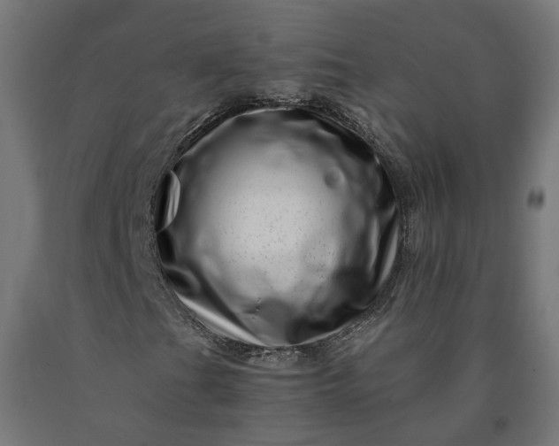 X0000090721201200708031453