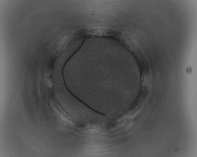 X0000090721202200708031453
